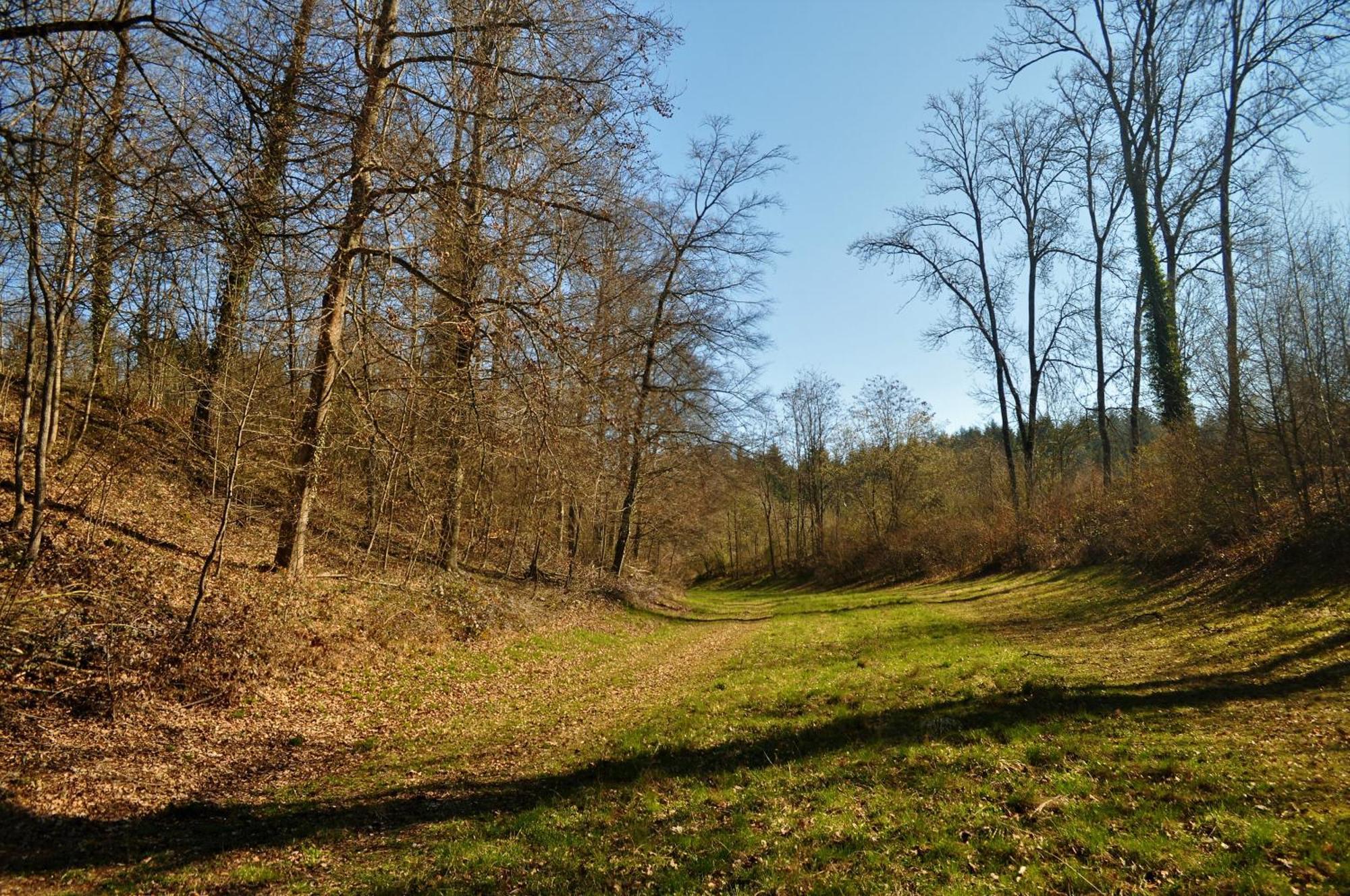 ホテル Domaine De Mont-Renaud Boncourt エクステリア 写真