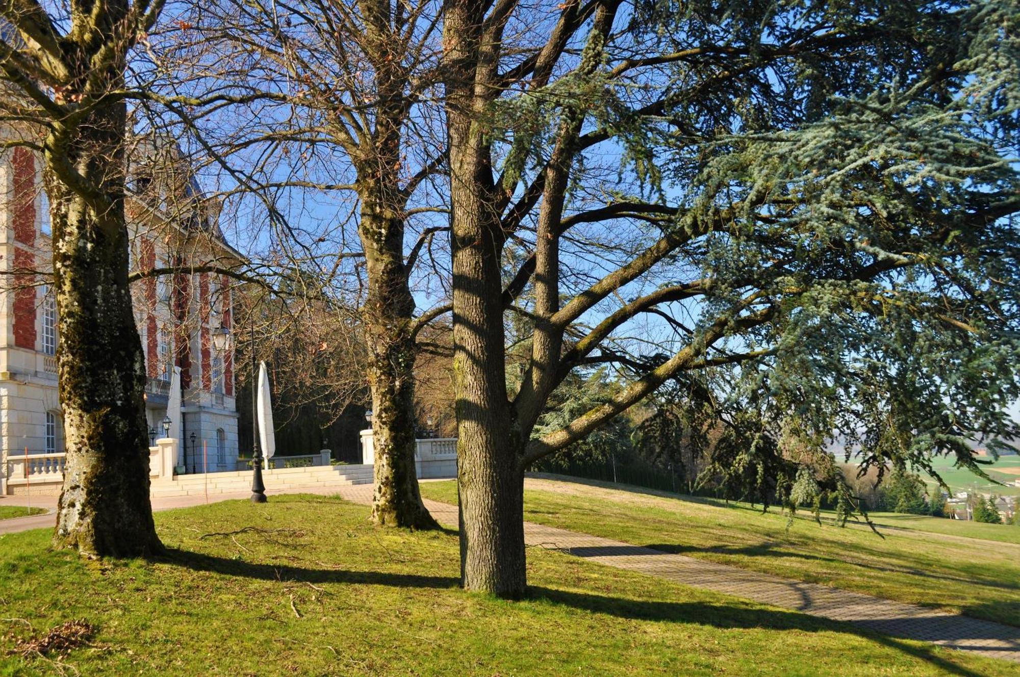 ホテル Domaine De Mont-Renaud Boncourt エクステリア 写真